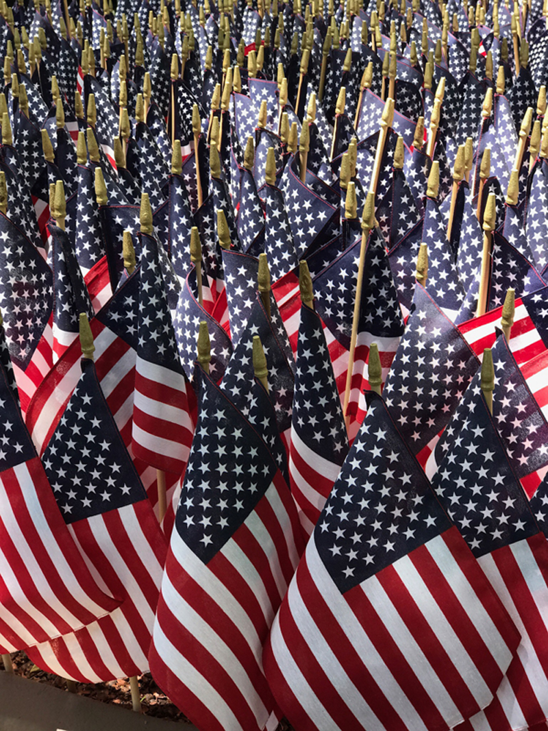 American flags display